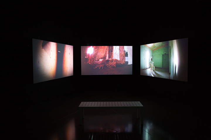 Three screen interior installation at the MSU Broad Art Museum, USA, 2016.